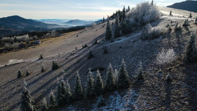 冬季森林自然白雪覆盖的冬季树木高山景观清晨日出假日旅游霜冻的树顶鲜艳的色彩空中4k