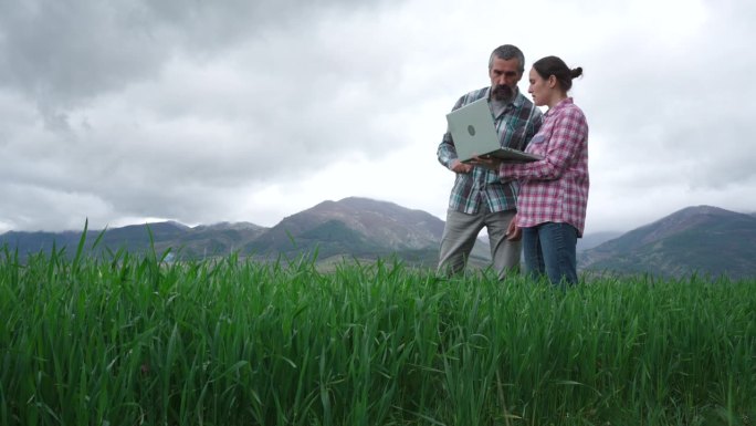 智能农业。农民检查小麦作物。本空间