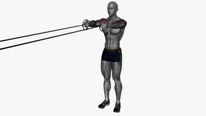 后三角飞缆阻力带健身运动锻炼动画男性肌肉突出演示4K分辨率60 fps