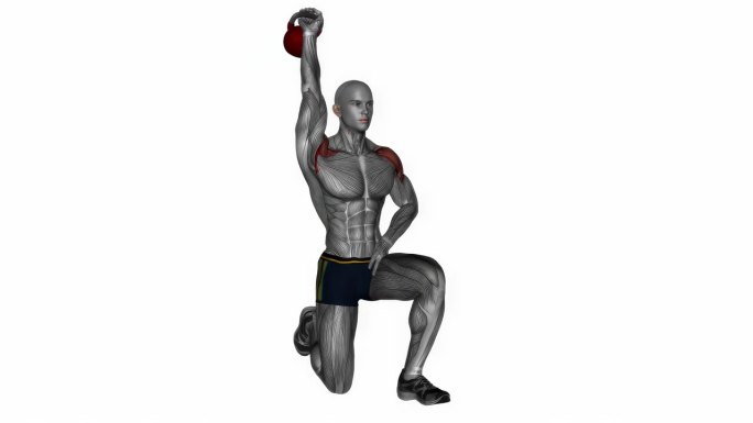 壶铃半跪肩按健身运动锻炼动画男性肌肉突出演示4K分辨率60 fps