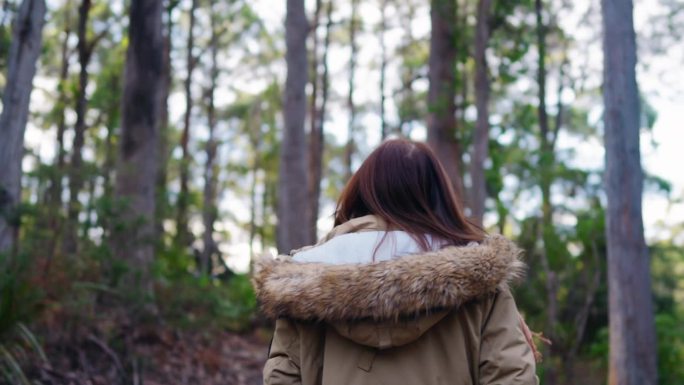 徒步旅行的女人在森林里行走，在寒冷的雨林中徒步旅行