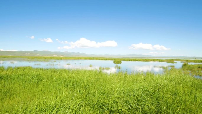 若尔盖国家湿地公园全景图