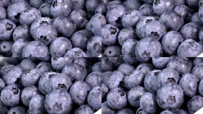 在成熟的甜蓝莓上滴点水。新鲜蓝莓或鸽饼。