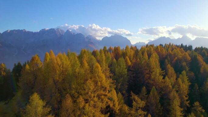 航拍:秋天色彩斑斓的落叶松和高耸山峰的壮丽景色
