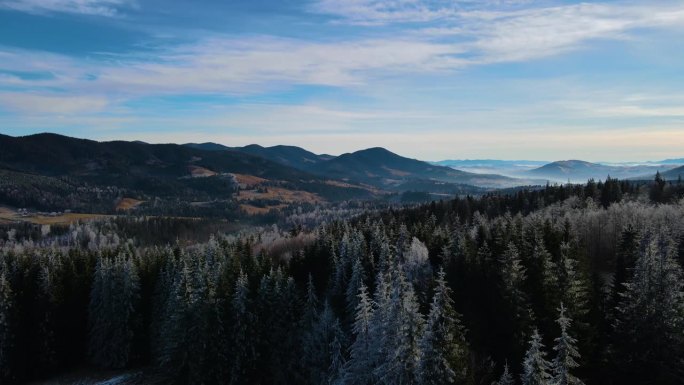 冬季森林自然白雪覆盖的冬季树木高山景观清晨日出假日旅游霜冻的树顶鲜艳的色彩空中4k