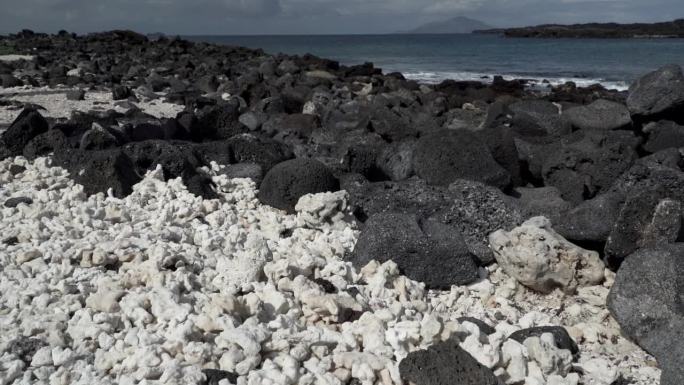 厄瓜多尔太平洋加拉帕戈斯群岛中国帽岛的黑色火山熔岩海滩上躺着死去的白珊瑚碎片。