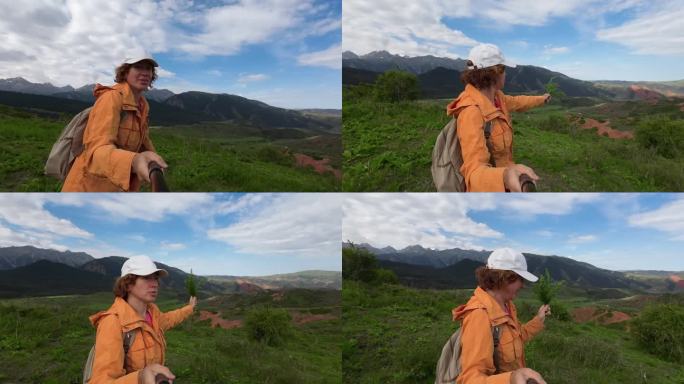 女视频博主手持采摘的新鲜龙蒿在山上散步的自拍视频