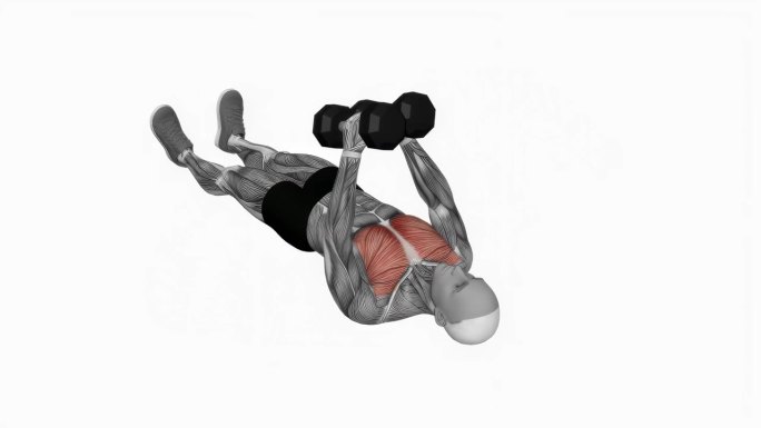 哑铃地板飞健身运动锻炼动画男性肌肉突出演示4K分辨率60 fps