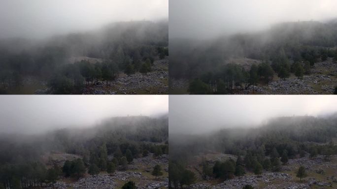 空中拍摄的松树在Nebaj，基切在危地马拉的岩石山脉，在云层之间的早晨。