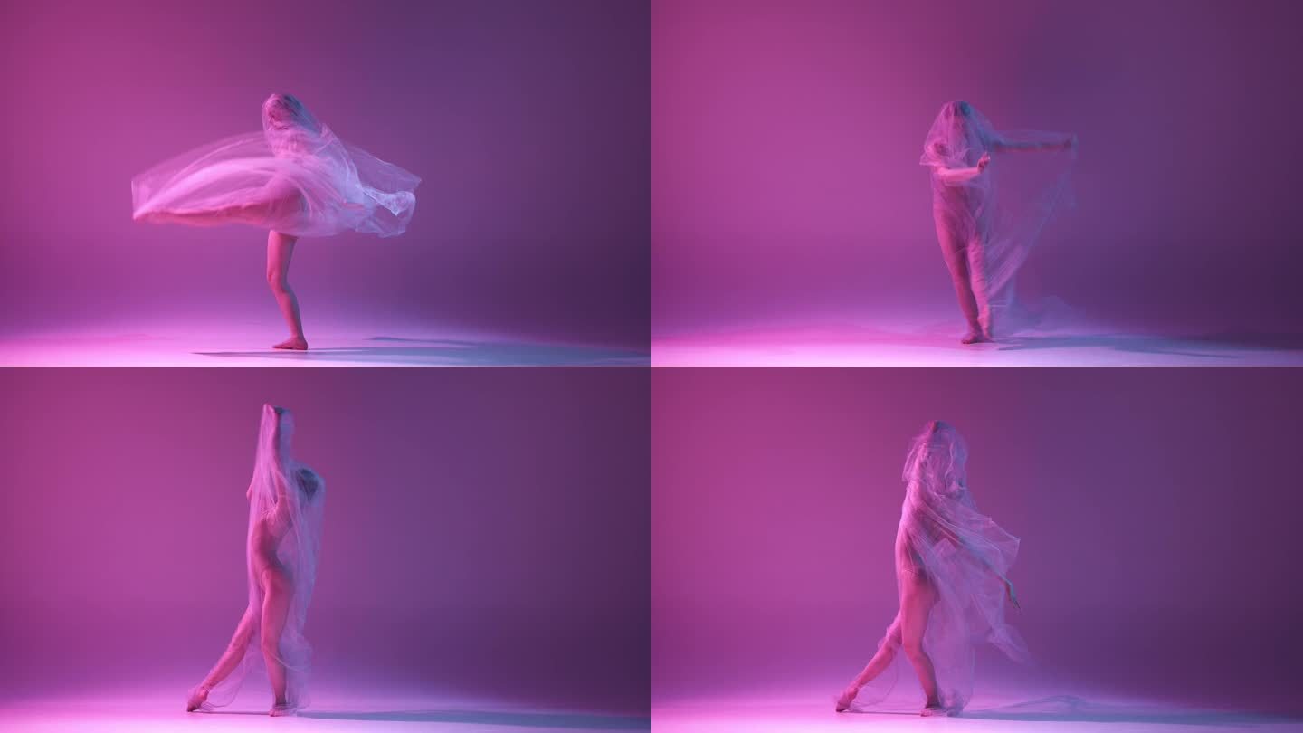 优雅的艺术家。美丽的年轻芭蕾舞女演员在霓虹灯下跳舞，透明的面纱对抗渐变的粉红色紫色工作室背景