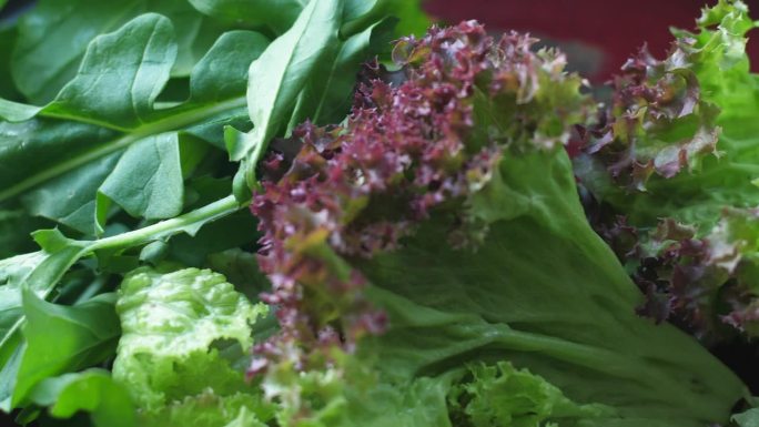 餐桌上有健康的绿色蔬菜生菜、葱、菠菜。全景摄像机移动。有选择性的重点。绿色蔬菜饮食