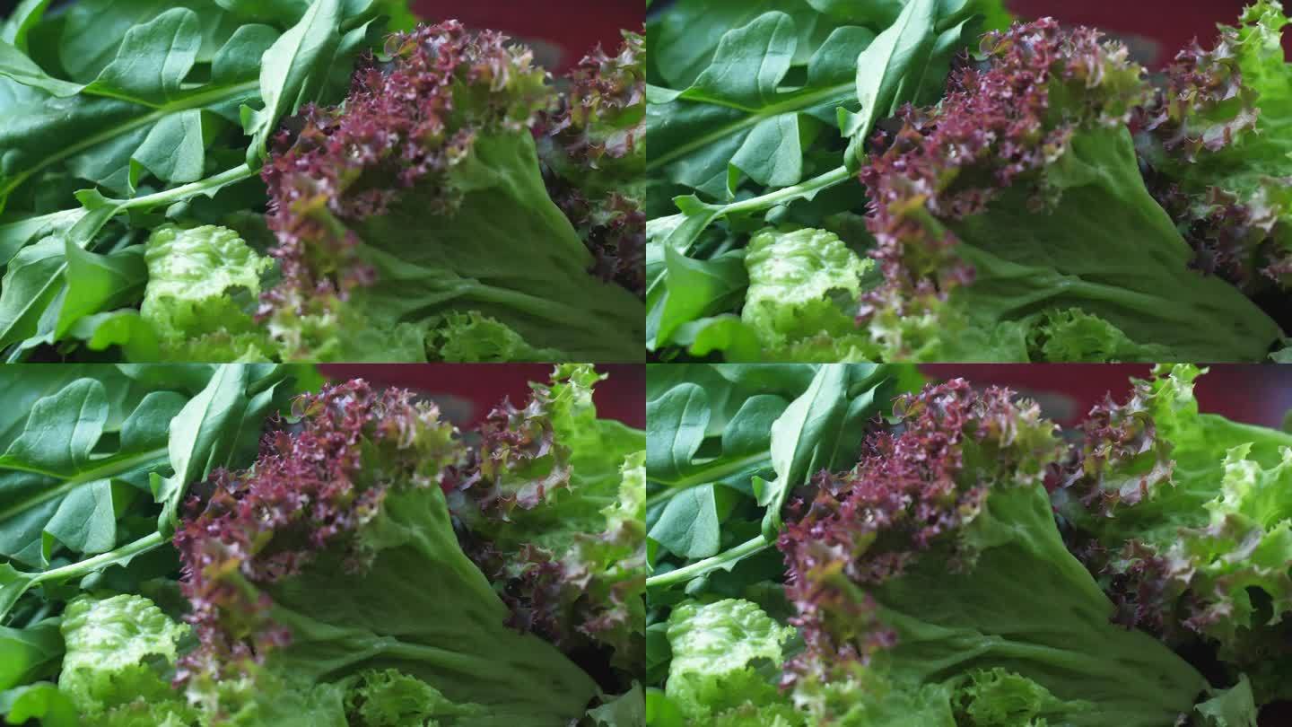 餐桌上有健康的绿色蔬菜生菜、葱、菠菜。全景摄像机移动。有选择性的重点。绿色蔬菜饮食