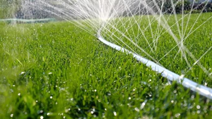 喷水和飞溅的特写，用软管浇灌草坪。自动园林灌溉系统浇灌草坪。用于灌溉和维护草坪、园艺的自动设备。