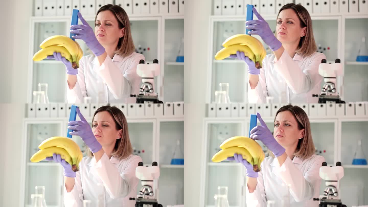 研究营养学的科学家在实验室里对香蕉进行毒素测试