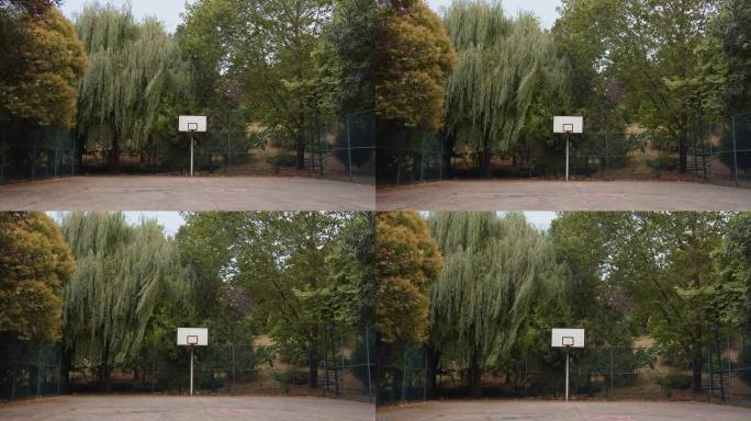 独立电影。标题的背景。空荡荡的篮球场。背景中的大树。柳树在风中摇曳。从普通放大到中等。放大画面。
