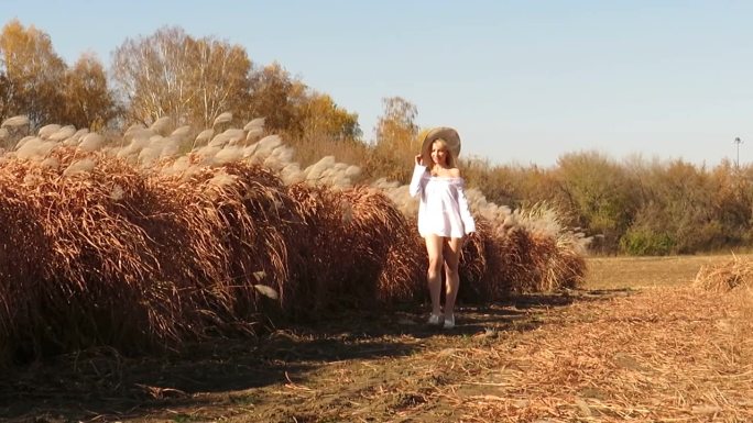 一位穿着白色短衬衫的迷人的年轻女子在秋天的城外田野里散步