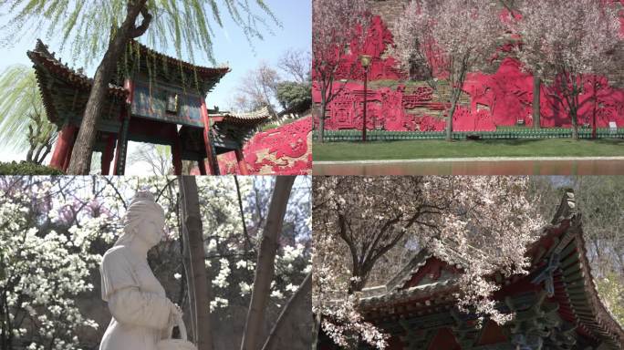 曲江寒窑遗址公园 春景