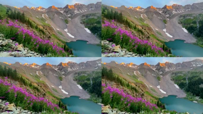 电影空中无人机高山日落在蓝湖科罗拉多山Sniffels达拉斯峰荒野雪14er峰紫色野花Ridgway