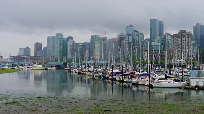 帆船系泊在加拿大不列颠哥伦比亚省温哥华的福尔斯河上。右摇镜头