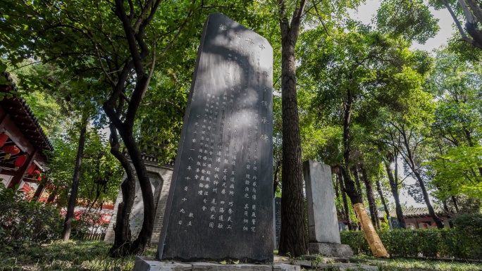 南阳医圣祠4K延时空镜