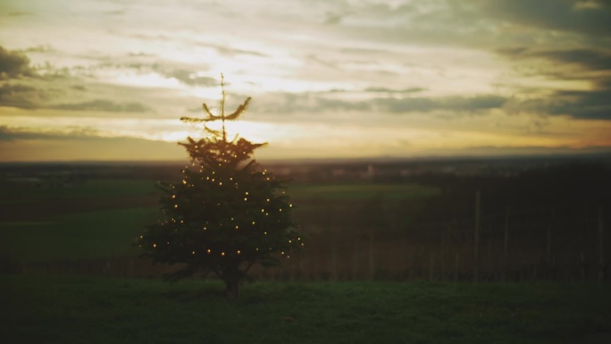 日落时分，圣诞树上的DS串灯闪烁着
