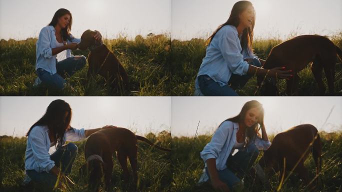 一名女子在草地上给她的宠物狗棕色维兹拉喂食