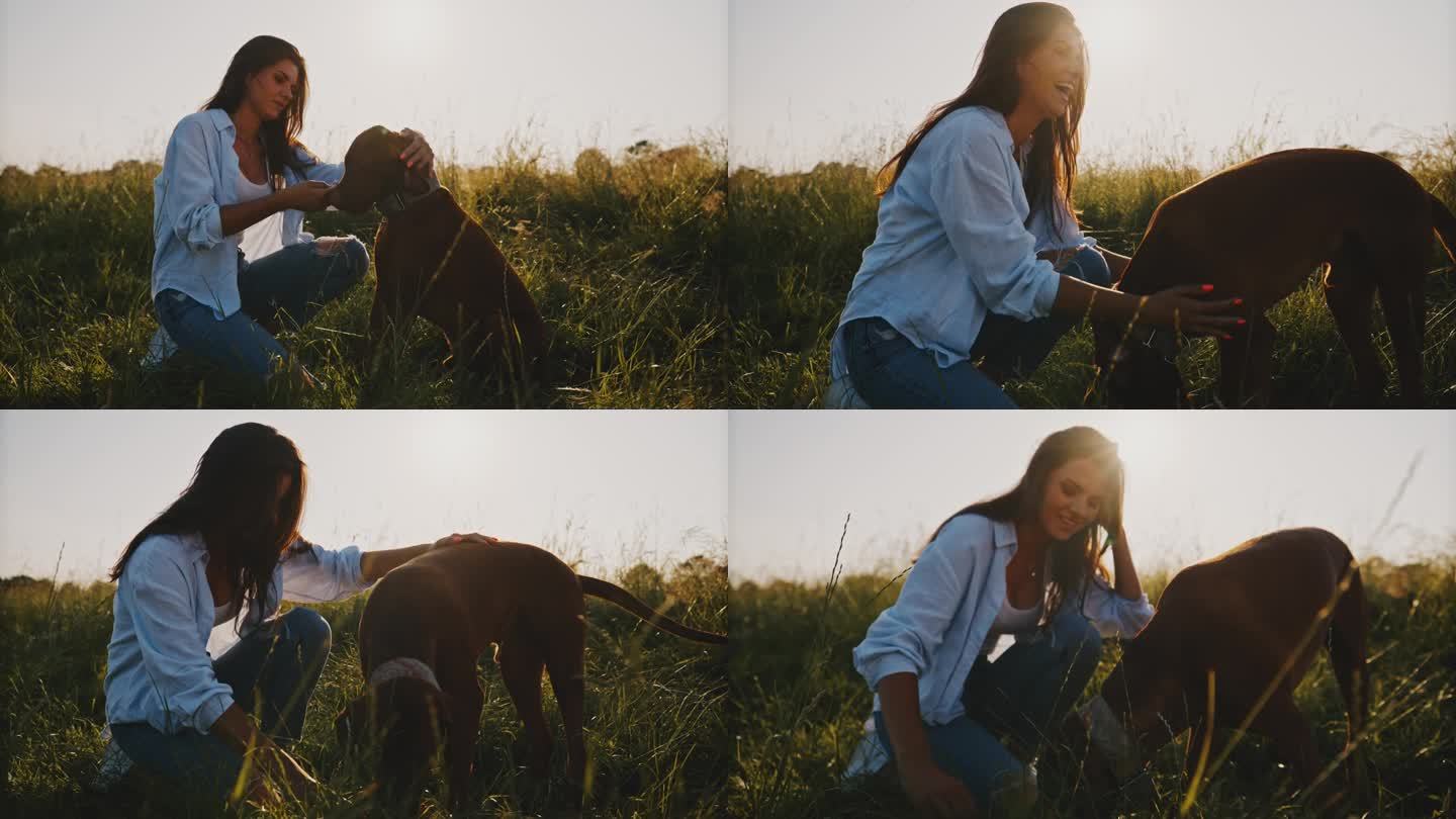 一名女子在草地上给她的宠物狗棕色维兹拉喂食