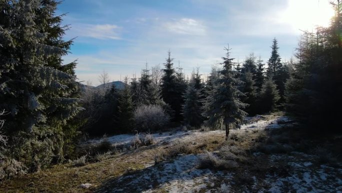 冬季森林自然白雪覆盖的冬季树木高山景观清晨日出假日旅游霜冻的树顶鲜艳的色彩空中4k