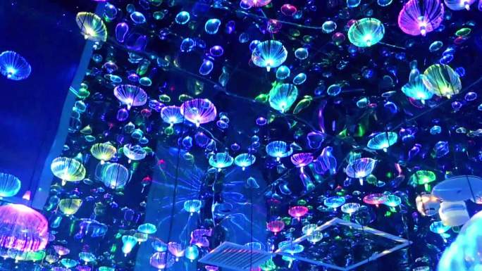 水母，最全最新海底世界水母灯光秀