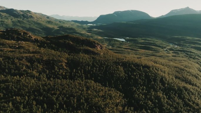 一架无人驾驶飞机在挪威壮丽的绿色森林上空飞行。美景尽收眼底。