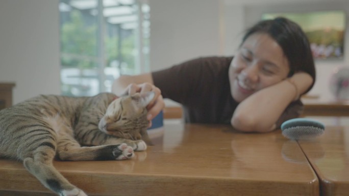 东南亚妇女在家与猫玩耍