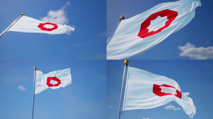 中国建材集团旗帜
