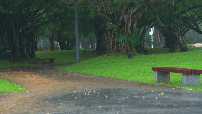 公园雨景