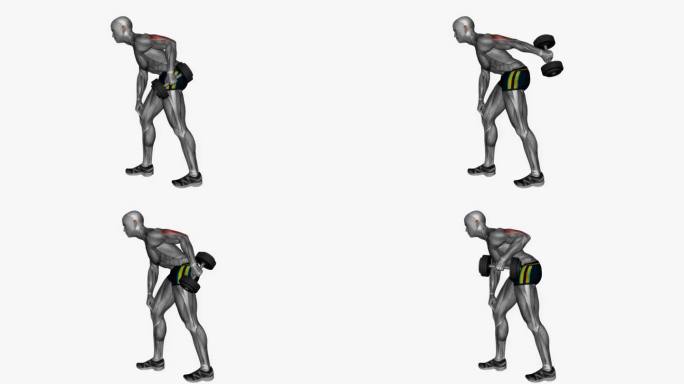 哑铃三头肌踢回单臂健身运动锻炼动画男性肌肉突出演示4K分辨率60 fps