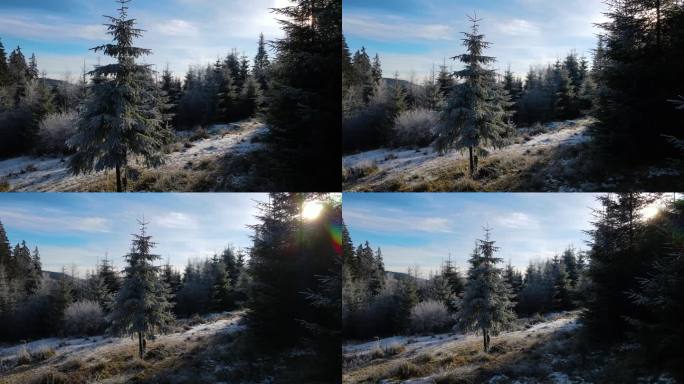 冬季森林自然白雪覆盖的冬季树木高山景观清晨日出假日旅游霜冻的树顶鲜艳的色彩空中4k