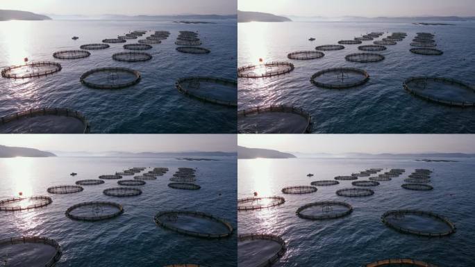 工厂化养鱼场养殖网箱，近海养鱼场养殖