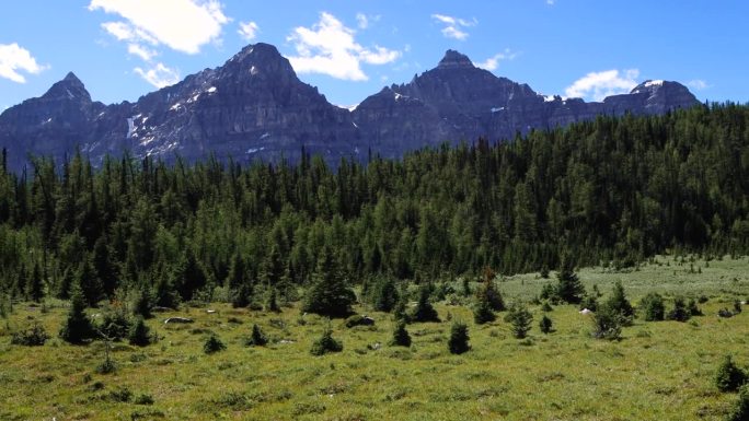 背着红色背包的徒步旅行者在通往哨兵山口的小路上，可以看到十个山峰的山谷和落叶松山谷茂密的松树林。加拿