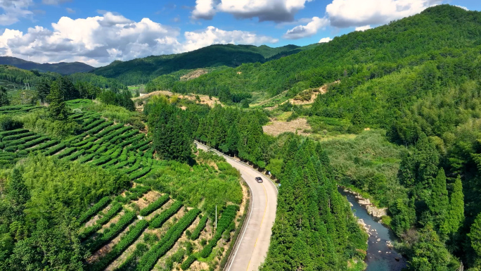 行驶在山林树林竹林轿车