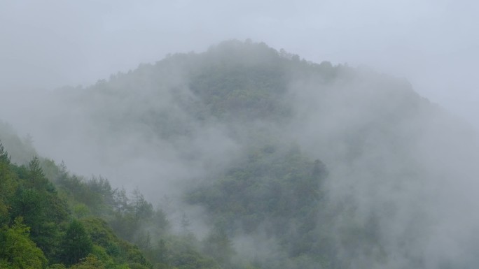 初秋雨中山脉云雾缭绕的绝美自然风光