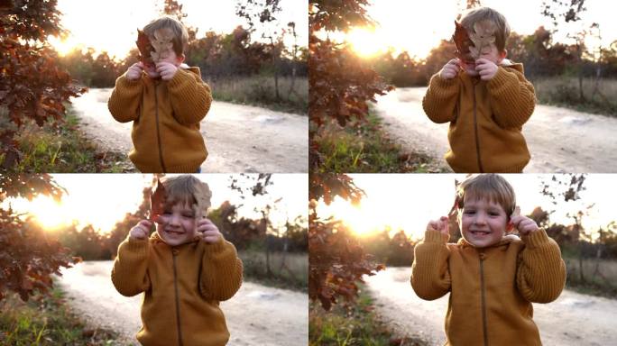小男孩把脸藏在秋叶后面