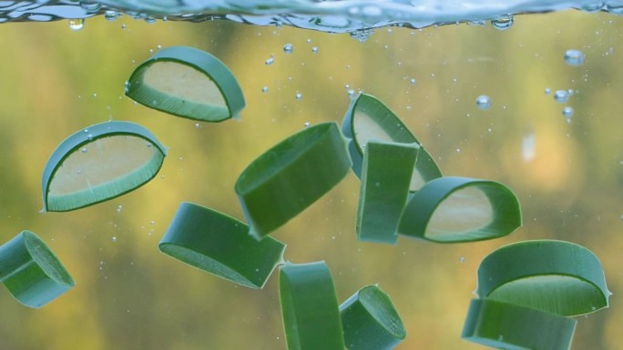 绿色芦荟植物叶片落在水中