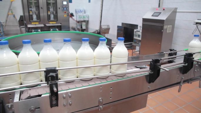 奶制品厂的一排牛奶瓶
