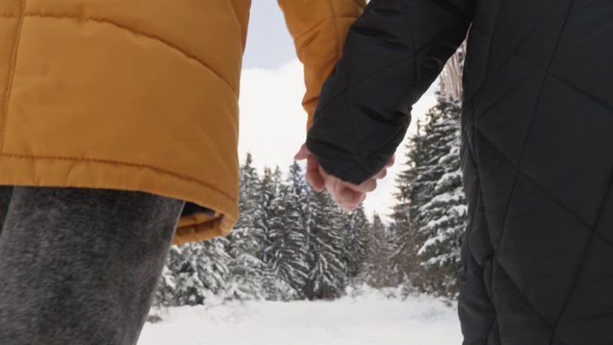 一个男人和一个女人被牵着手。在这个迷人的视频中，神奇的雪景世界向一对相爱的情侣敞开了大门。手触碰的亲