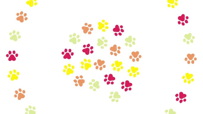 动物脚印插图框架(彩色)白色背景