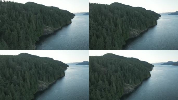 空中无人机拍摄的森林和平静的水域