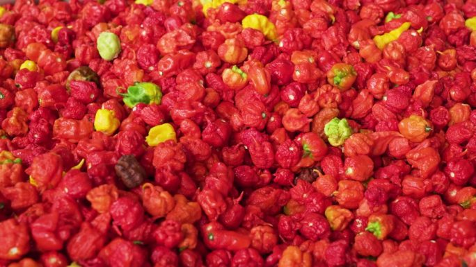 卡罗莱纳死神红辣椒的工业量。