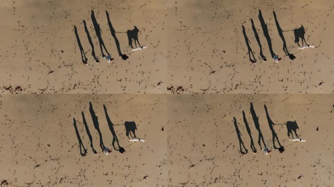 在阳光明媚的早晨，年轻的家庭带着狗在沙滩上散步的鸟瞰图