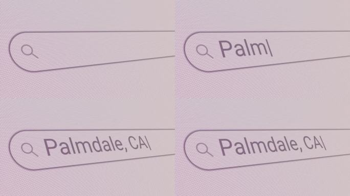 搜索栏棕榈谷CA网页搜索网址浏览