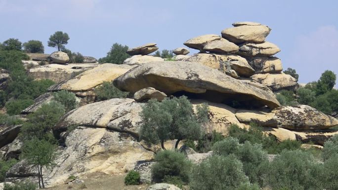 橄榄树环绕着堆积的岩层。