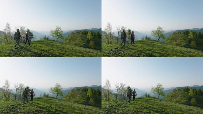 老年夫妇在生机勃勃的绿色山坡上徒步旅行的鸟瞰图
